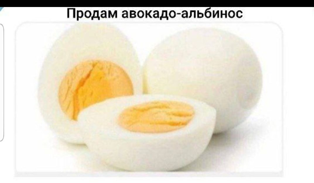 Продам авокадо аль иипс