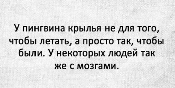 У пингвина крылья не для того чтобы летать в просто так чтобы были У некоторых людей так же с мозгами