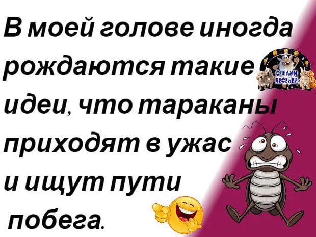 В моей голове иногда и ищут пути побега