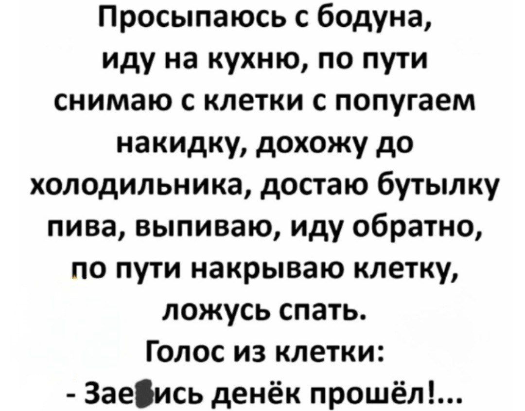 Просыпаюсь с бодуна иду на кухню по пути снимаю с клетки с попугаем накидку дохожу до холодильника достаю бутылку пива выпиваю иду обратно по пути накрываю клетку ложусь спать Голос из клетки Заеіись денёк прошёл