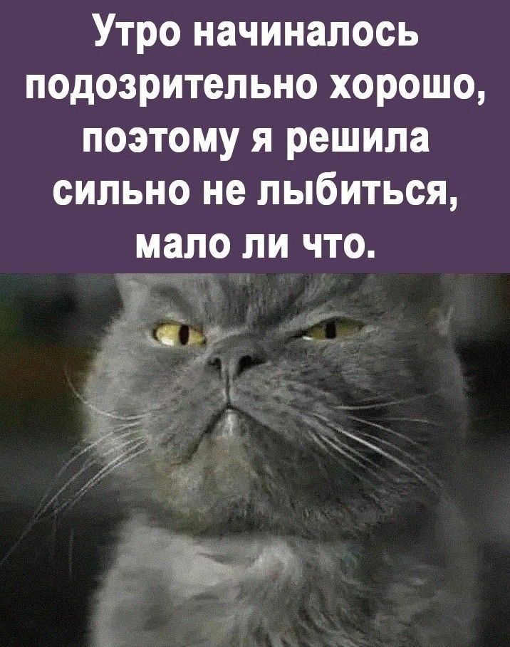 Утро начиналось подозрительно хорошо поэтому я решила сильно не лыбиться мало ли что и _