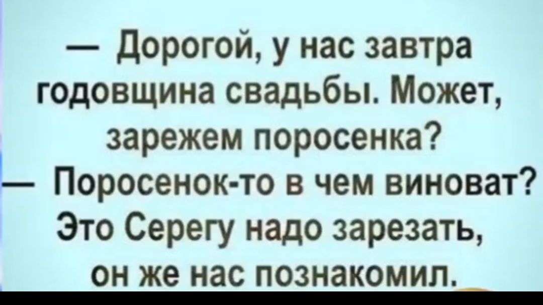 дорогой у нас завтра годовщина свадьбы Может зарежем поросенка Поросенок то в чем виноват Это Серегу надо зарезать он же нас познакомил