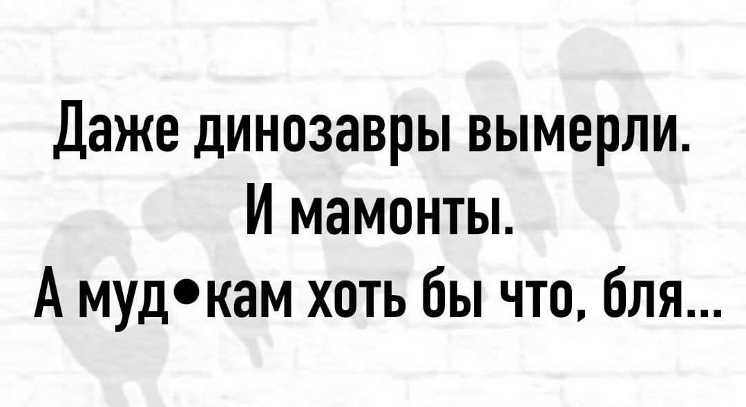 Даже динозавры вымерли И мамонты А мудокам хоть бы что бля