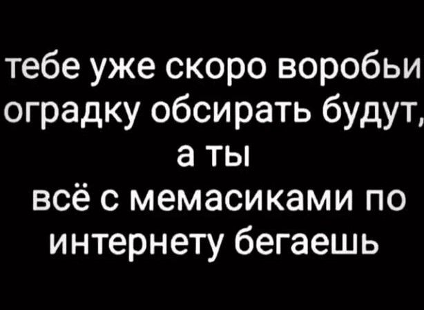 тебе уже скоро воробьи оградку обси рать будут а ты всё с мемасиками по интернету бегаешь