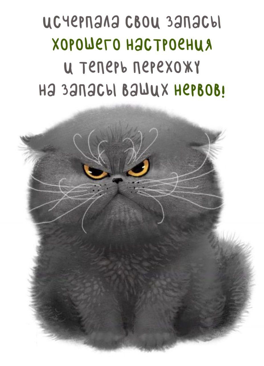 ЦСЧЁРПЭАЗ СБОЦ ЗЭПЭСЫ ХОРОШЕГО НЭСТРОСНЦ Ц ТЕПЕРЬ ПСРЕХОЮ НЗ ЭЭОЗСЫ БЭЪШХ НСРВОБ