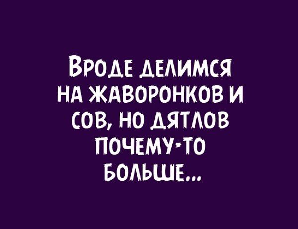 Вроде мдимся нд ждворонков и сов но АЯТАОВ почему то водьшв