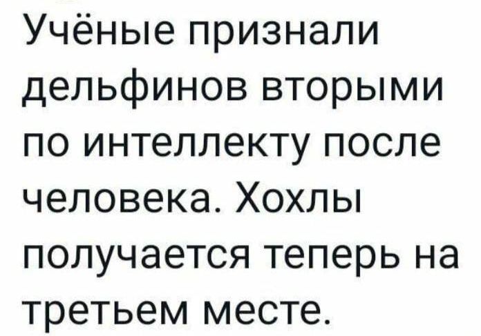 Учёные признали дельфинов вторыми по интеллекту после человека Хохлы получается теперь на третьем месте