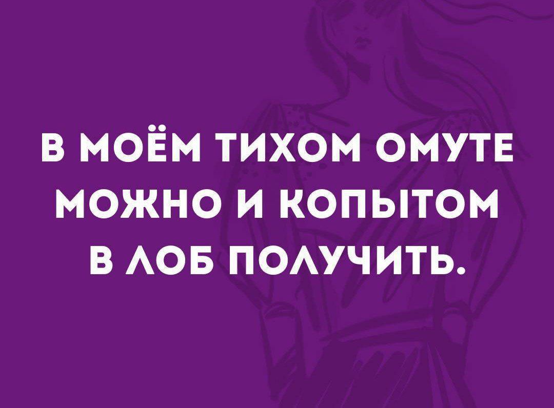 В МОЁМ ТИХОМ ОМУТЕ МОЖНО И КОПЫТОМ В АОБ ПОАУЧИТЬ