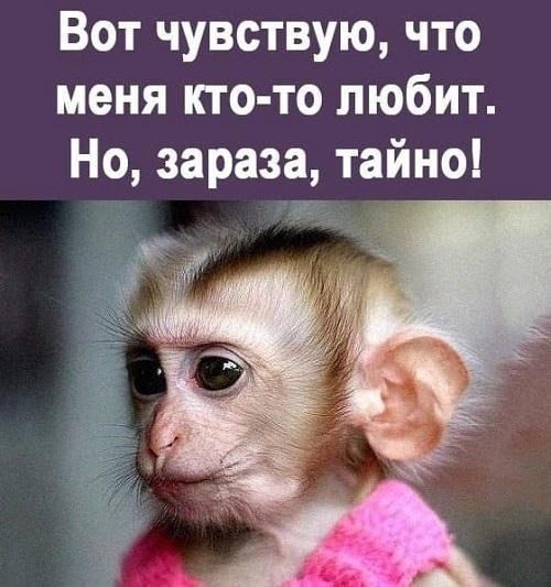 Вот чувствую что меня кто то любит Но зараза тайно