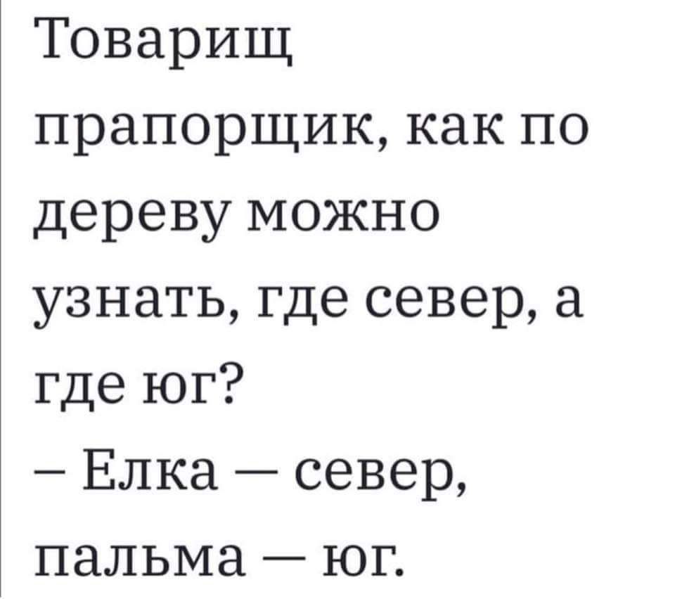 Товарищ прапорщик как по дереву можно узнать где север а где юг Елка север пальма юг