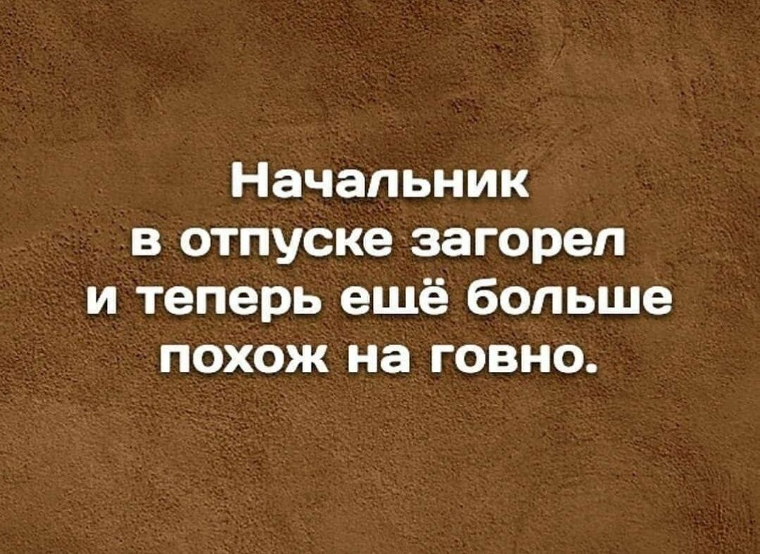 Начальник в отпуске загореп и теперь ещё больше похож на говно