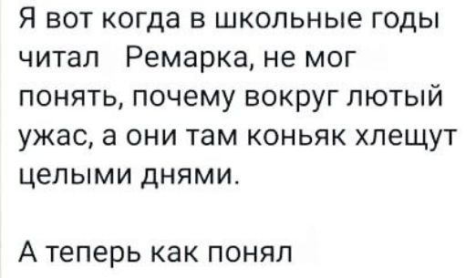 Я вот когда в школьные годы читап Ремарка не мог понять почему вокруг лютый ужас а они там коньяк хпещут целыми днями А теперь как понял