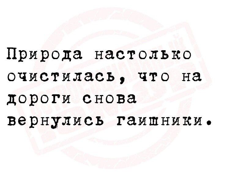 Природа настолько очистилась что на дороги снова вернулись гаишники