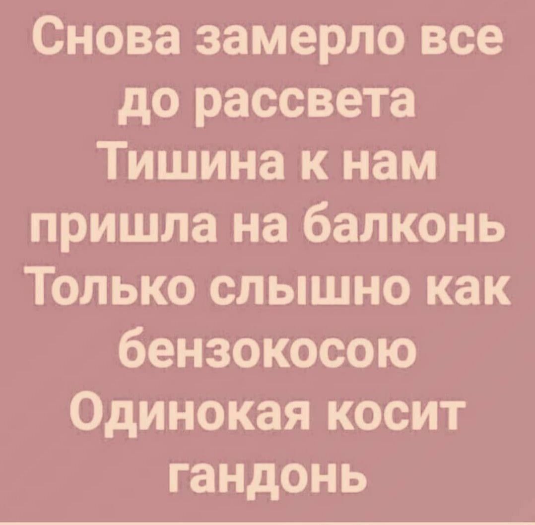 Снова замерло все до рассвета Тишина к нам пришла на балконь Только слышно как бензокосою Одинокая косит гандонь