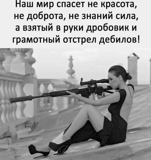 аш мир спасет не красота не доброта не знаний сила а взятый в руки дробовик и грамотный отстрел дебилов