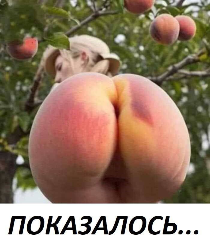 ПОКАЗАЛОСЬ