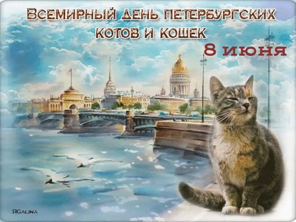 ВСЕМИРНЬ ЦЫЬ ПЕЪЕРБАРГСКИХ КФ В И КОШЕК