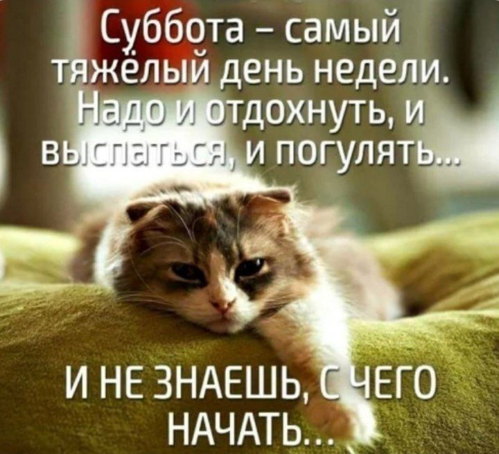 Суббота самый желы день недели и НЕ ЗНАЕШЬ НАЧАТЬ