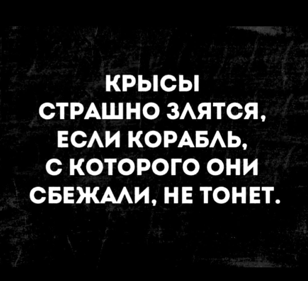 КРЫСЫ ОТРАШНО ЗАЯТСЯ ЕСАИ КОРАБАЬ О КОТОРОГО ОНИ СБЕЖААИ НЕ ТОН ЕТ