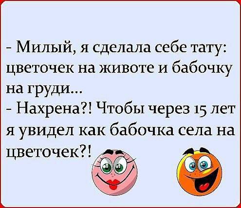 Милый я сделала себе тату цветочек на животе и бабочку на груди Нахрена Чтобы через 15 лет я увидел как бабочка села на цветочек