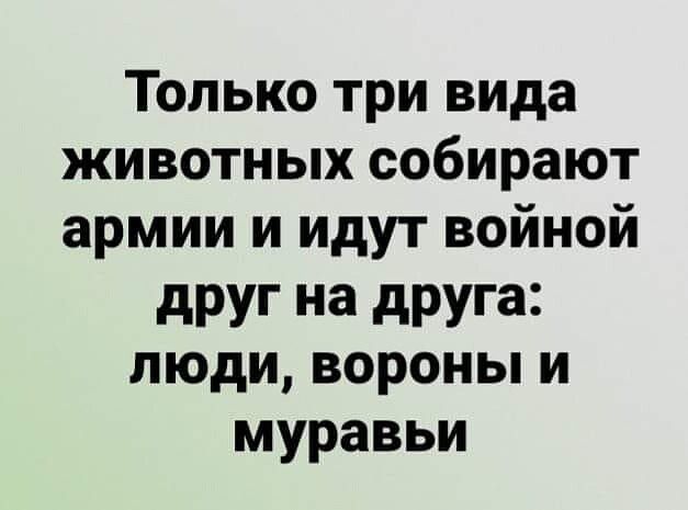 Только три вида животных собирают армии и идут войной дРУГ на дРУГ33 люди вороны и муравьи