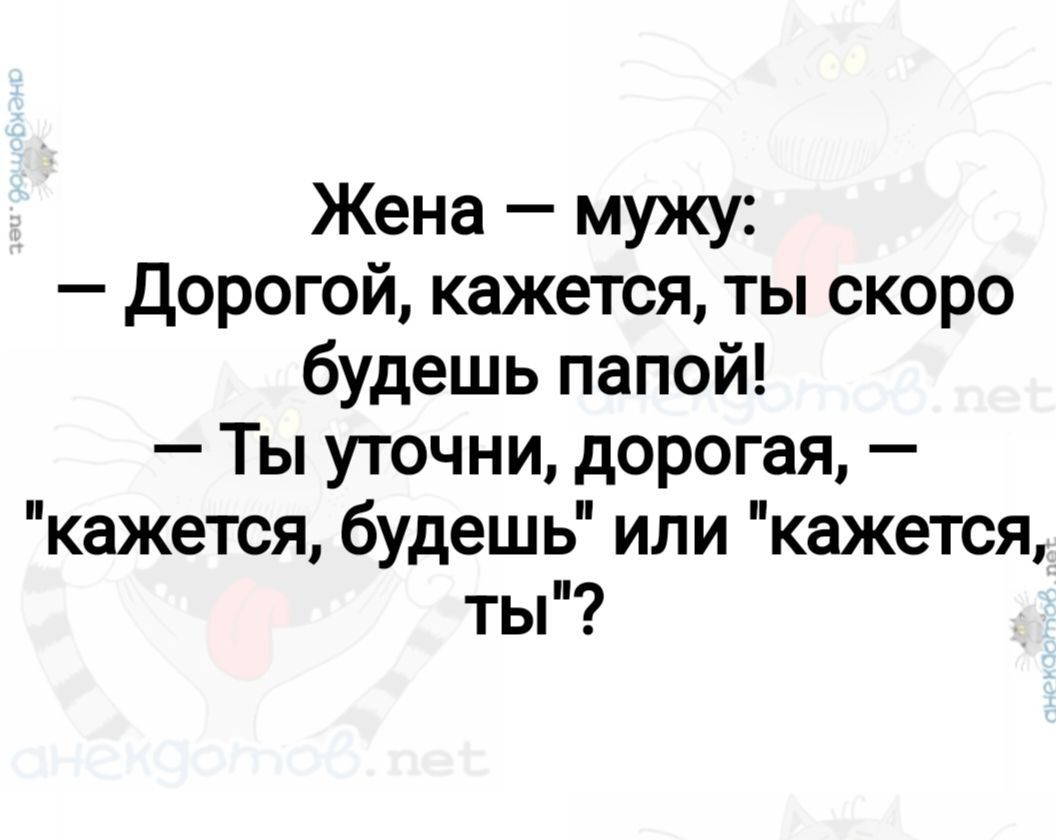 Жена мужу дорогой кажется ты скоро будешь папой Ты уточни дорогая кажется будешь или кажется ты