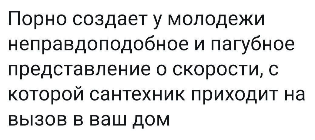 Порно создает у молодежи неправдоподобное и пагубное представление о скорости с которой сантехник приходит на вызов в ваш дом