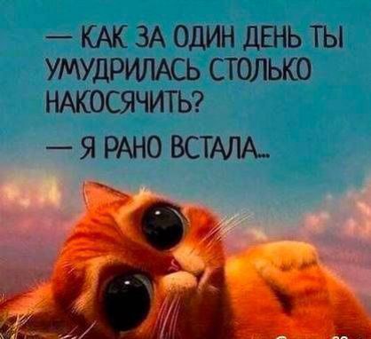 КАК ЗА ОДИН ДЕНЬ ТЫ УМУДРИЛАСЬ СТОЛЬКО НАКОСЯЧИТЬ Я РАНО ВСТАЛА_