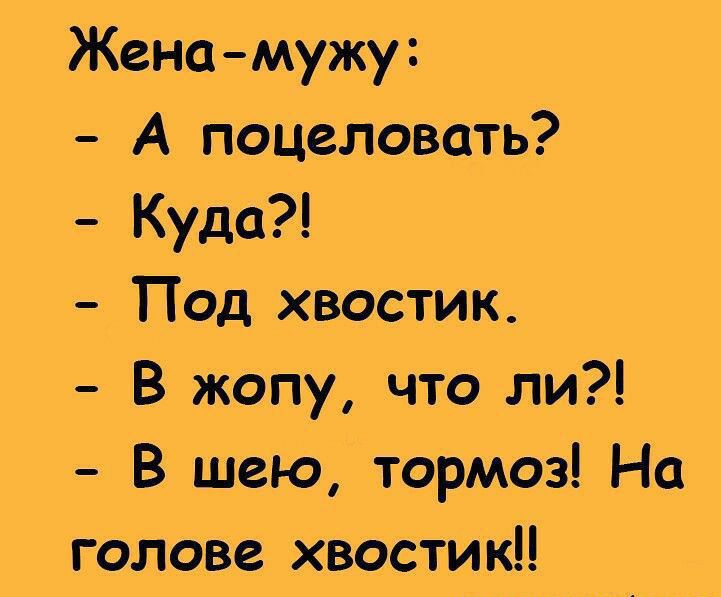 Жена мужу А поцеЛовать Кудо Под хвостик В жопу что ли В шею тормоз На голове хвостик