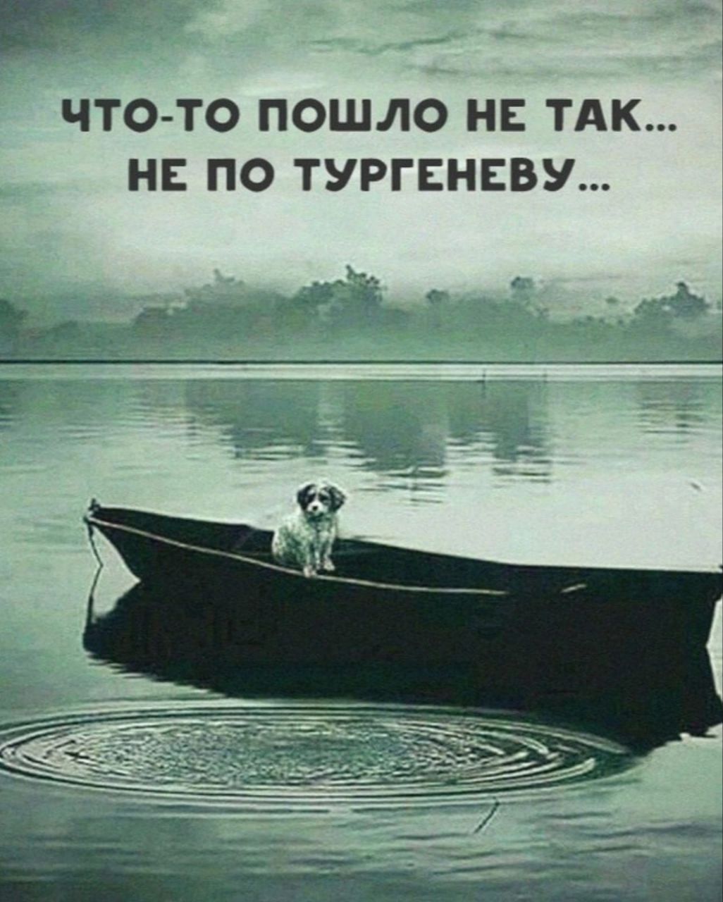 в ЧТО ТО ПОШЛО НЕ ТАК НЕ ПО ТУРГЕНЕВУ