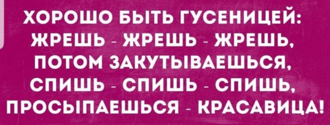 ХОРОШО БЫТЬ ГУСЕНИЦЕЙ ЖРЕШЬ ЖРЕШЬ ЖРЕШЬ ПОТОМ ЗАКУТЫВАЕШЬСЯ СПИШЬ СПИШЬ СПИШЬ ПРОСЫПАЕШЬСЯ КРАСАВИЦА