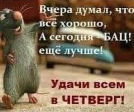 думал что все ошо А мг _ епъЁучше Удачи всем ЧЕТВЕРГ