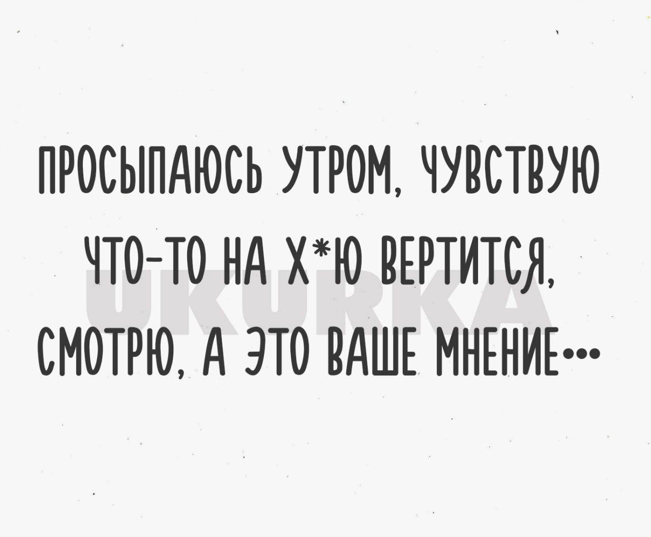 ПРОСЫПАЮСЬ УТРОМ ЧУВСТПУЮ ЧТО ТО Нд ХЮ ВЕРТИТСЯ СМОТРЮ А ЭТО ВАШЕ МНЕНИЕ