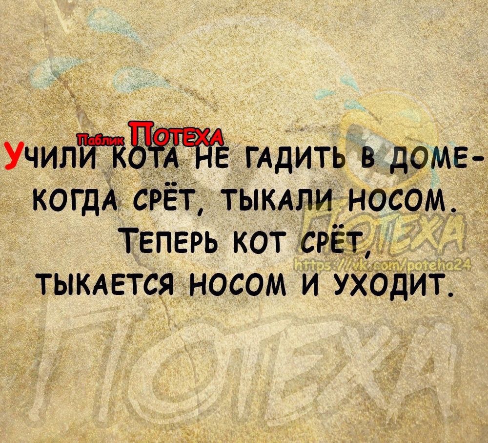 Учил ГАДИТЬ в доме когдА сгЁТ тыкдпц несем Теперь кот СРЁд _ тыкдвтся носом и Уходиі