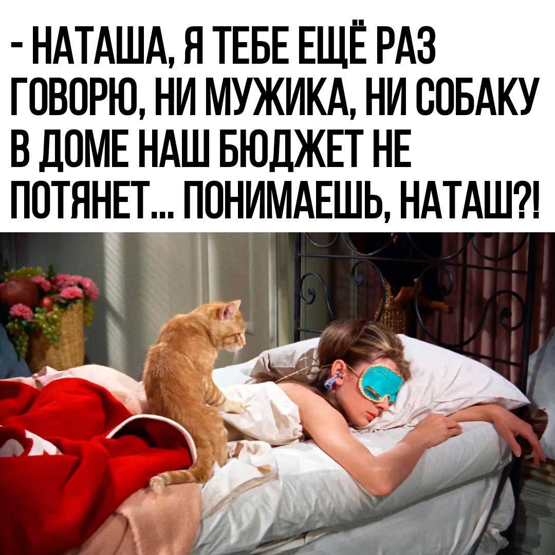 НАТАША Я ТЕБЕ ЕЩЕ РАЗ ГОВОРЮ НИ МУЖИКА НИ СОБАКУ В дОМЕ НАШ БЮЛЖЕГ НЕ ПОТЯНЕТ ПОНИМАЕШЬ НАТАШ