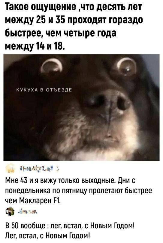 Такое ощущение что десять лет между 25 и 35 проходят гораздо быстрее чем четыре года между 14 и 18 миди Мне 103 и я вижу только выходные дни с ППНЕДЕПЬНИКЗ ПО ПЯТНИЦУ ПВОЛВТЗИП быстрее чем Макларен П ФЦч В 50 вообще лег встал с Новым Годом Лег встал с Новым Годом