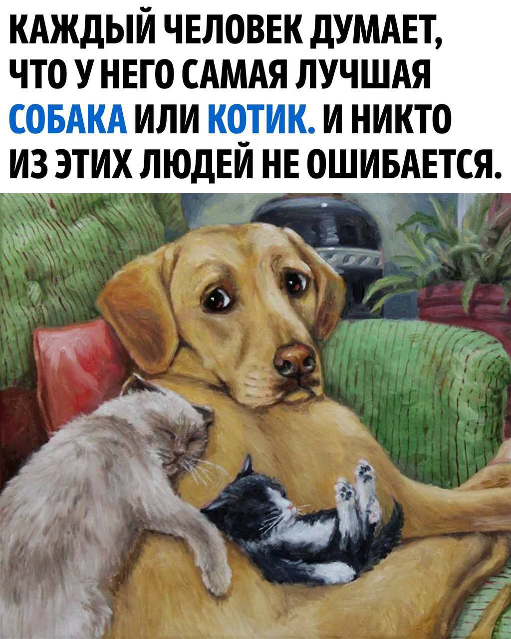 КАЖДЫЙ ЧЕЛВВЕК дУМАЕТ ЧТО У НЕГ0 САМАЯ ЛУЧШАЯ СОБАКА ИЛИ К0_ТИК И НИКТО ИЗ ЭТИХ ЛЮДЕИ НЕ ОШИБАЕТСЯ 45 Хк 4 ч 553 4 23