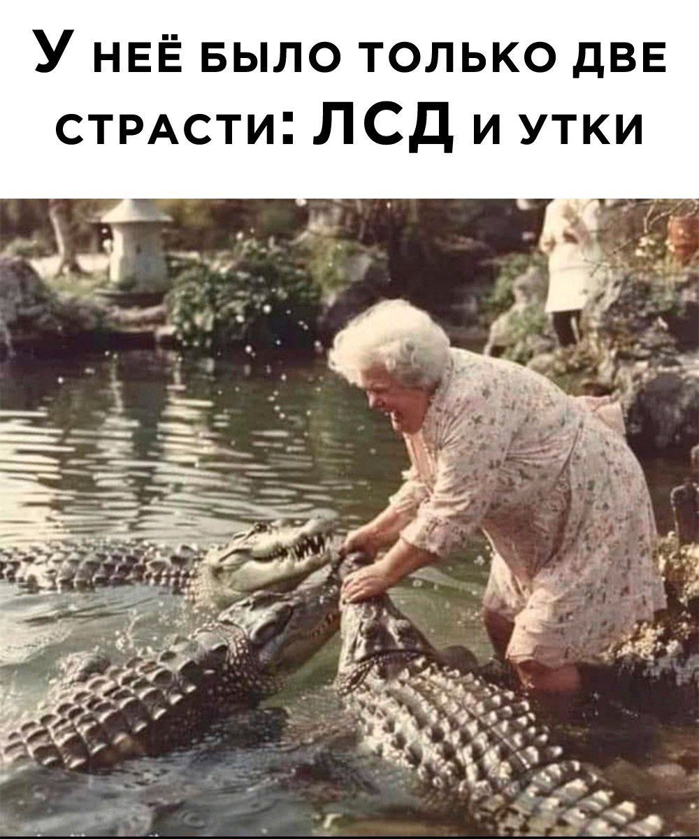 У НЕЁ БЫЛО только две СТРАсти ЛСД и утки