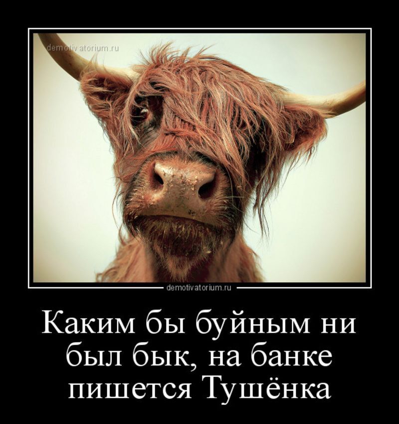 Каким бы буйным ни был бык на банке пишется Тушёнка