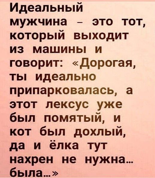 Идеальный мужчина это тот который выходит из машины и говорит дорогая ты идеально припарковалась а этот лексус уже был помятый и кот был дохлый да и ёлка тут нахрен не нужна была