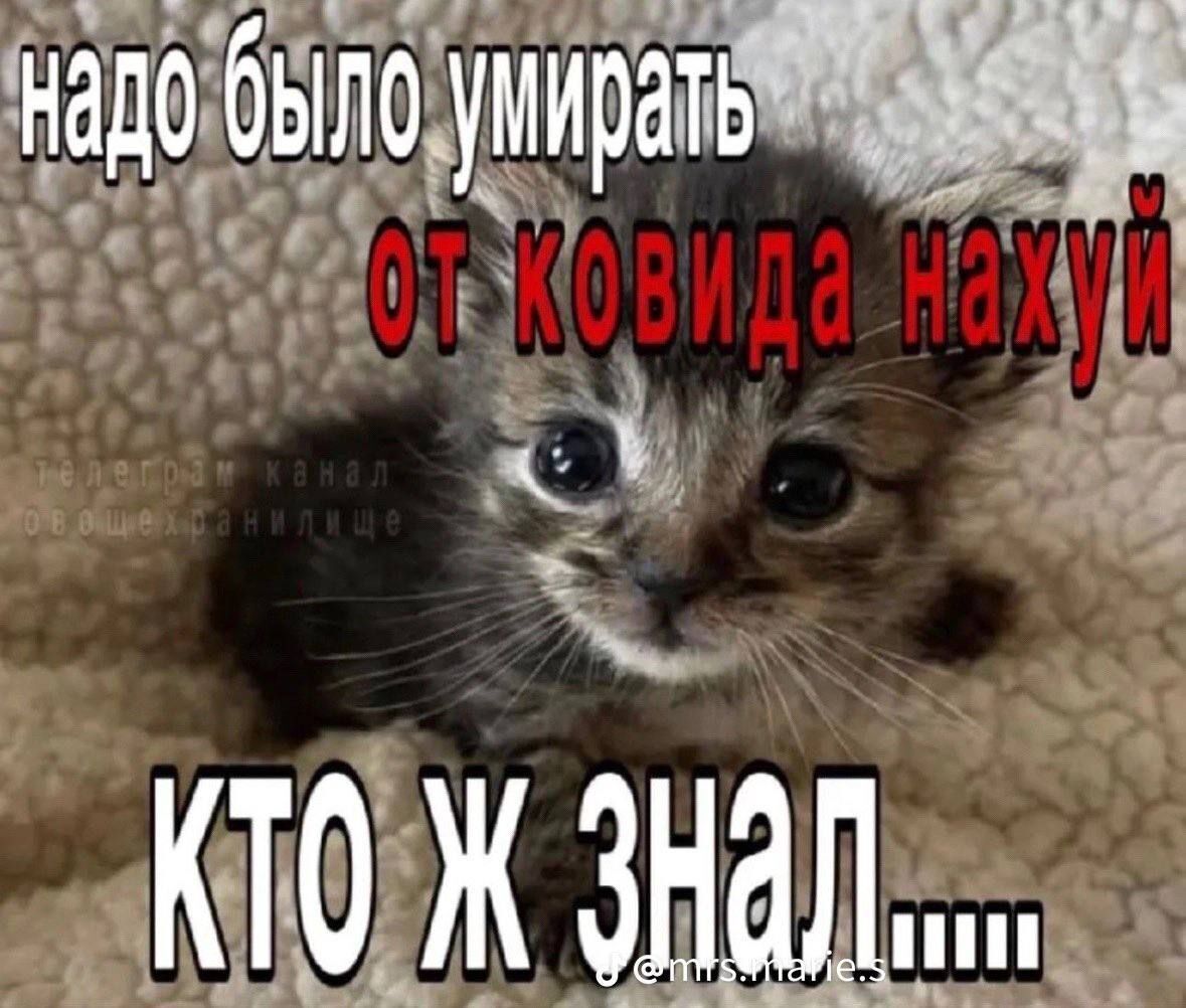 Ёе дщумирать И дд