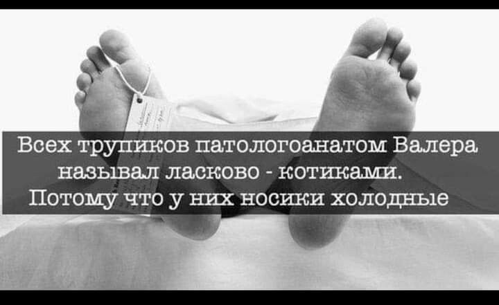 _ Всех трупиков патологоанатом Валера пальцам легион написали Потому что у шах носикн холодные