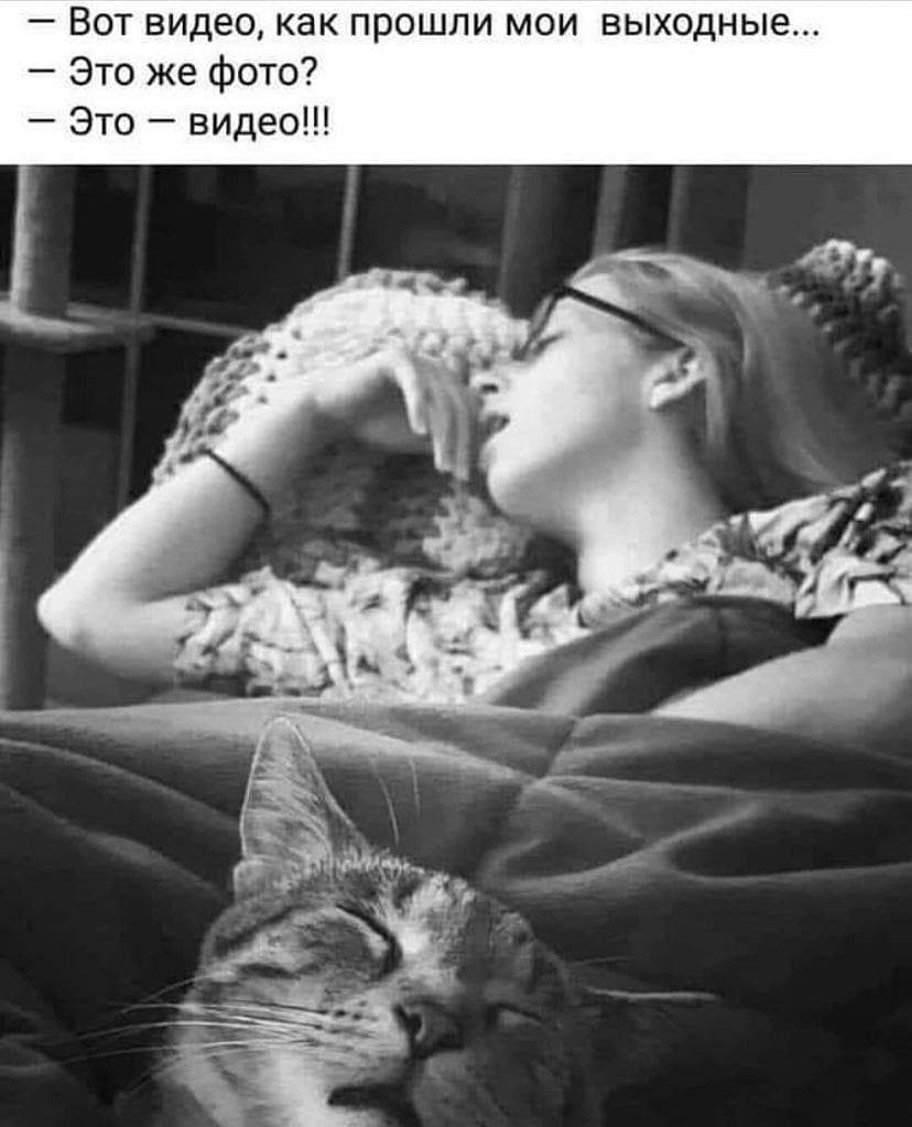 _ ВОТ видео Как ПРОШПИ МОИ ВЫХОДНЫЕ Это же Фото Это видео