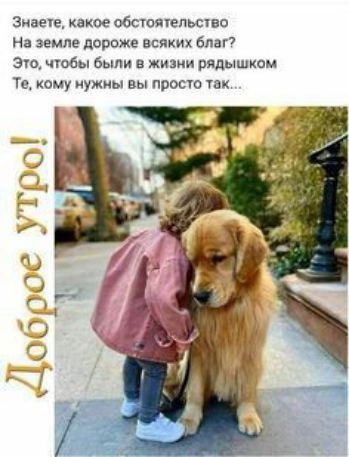 Знает какое обсюягвпьство На земле дороже всикик благ 310 чтобы были в жизии рядышком Те кому нужны вы просто чак
