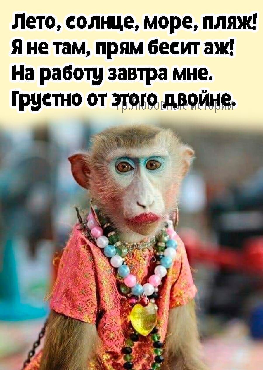 Лето солнце море пляж я не там прям бесит аж На работу завтра мне грустно от тмддчжш