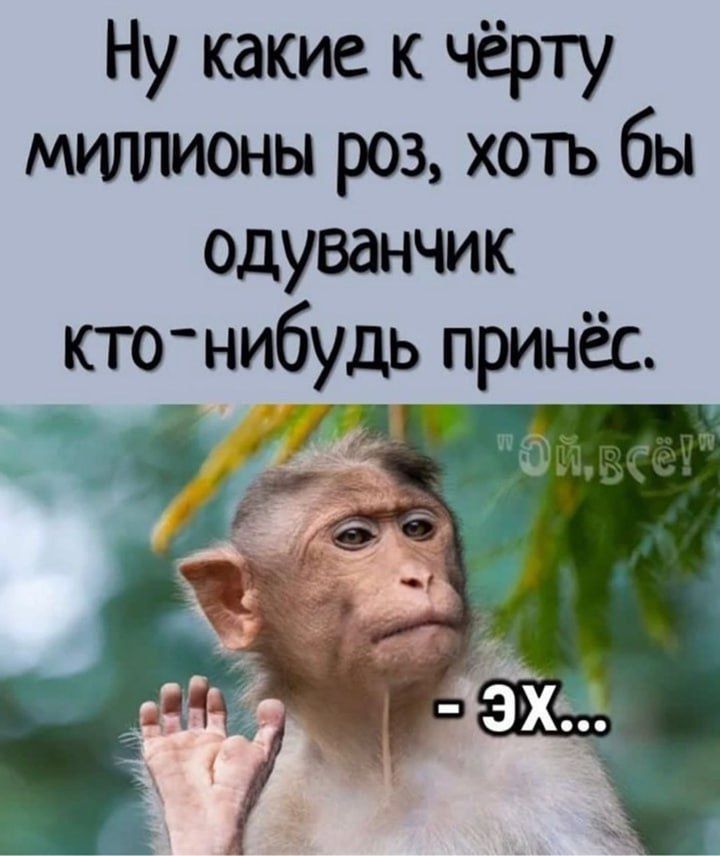 Ну какие к чёрту миллионы роз хотъ бы одуванчик кто нибудь принёс