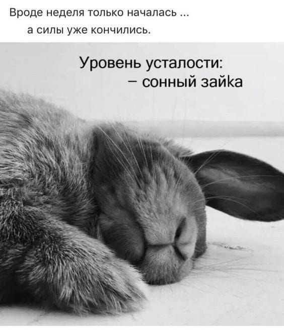 Вроде неделя только началась в СИЛЫ УЖЕ КОНЧИПИСЬ Уровень усталости сонный звйКа