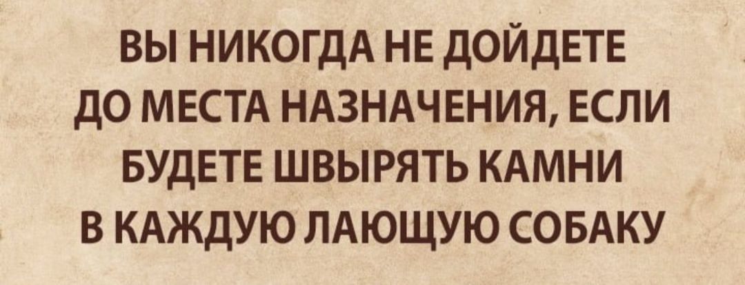 ВЫ НИКОГДА НЕ ДОИДЕТЕ ДО МЕСТА НАЗНАЧЕНИЯ ЕСЛИ БУДЕТЕ ШВЫРЯТЬ КАМНИ В КАЖДУЮ ЛАЮЩУЮ СОБАКУ