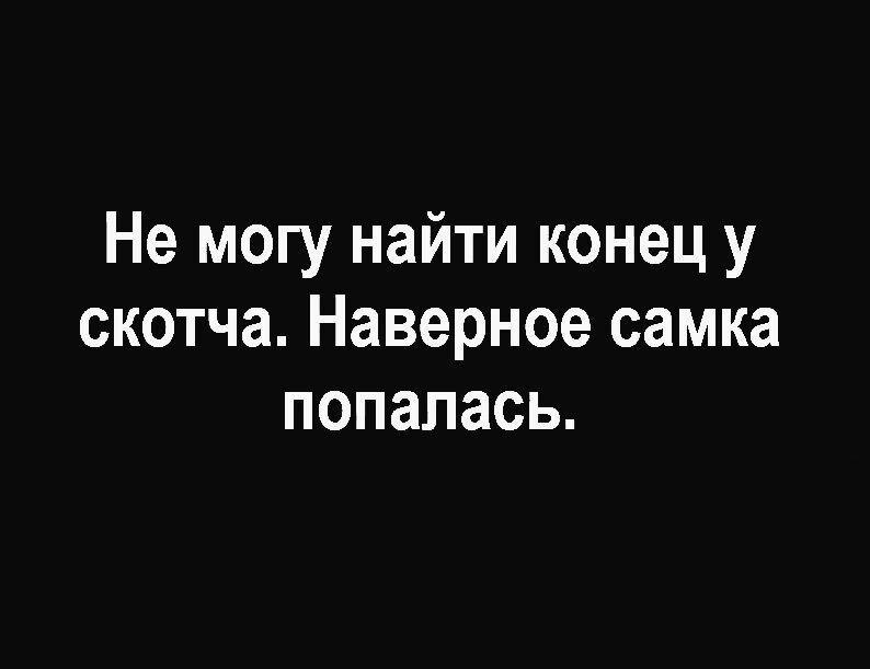 Не могу найти конец у скотча Наверное самка попалась