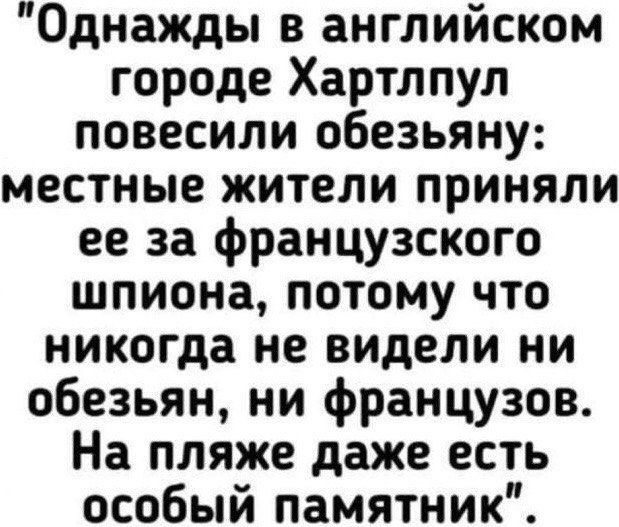 Однажды в английском городе Хартлпул повесили обезьяну местные жители приняли ее за французского шпиона потому что никогда не видели ни обезьян ни французов На пляже даже есть особый памятник